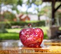 Red Resin Apple Paperweight